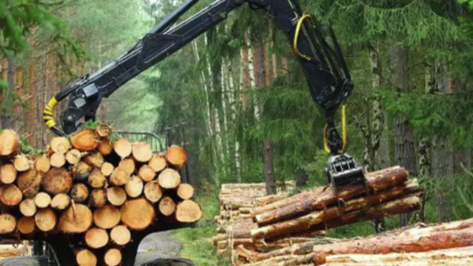 Log flows within a Kubernetes cluster: the path of the Logging Operator
