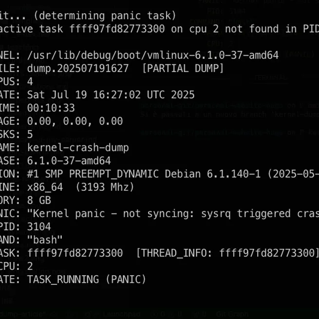 How I Made My Linux Kernel Panic