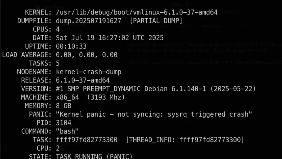 How I Made My Linux Kernel Panic